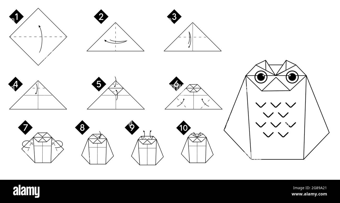 Paso a paso cómo hacer aves de búho origami . Ilustración de instrucciones  monocromas vectoriales. Bricolaje en papel blanco y negro Imagen Vector de  stock - Alamy
