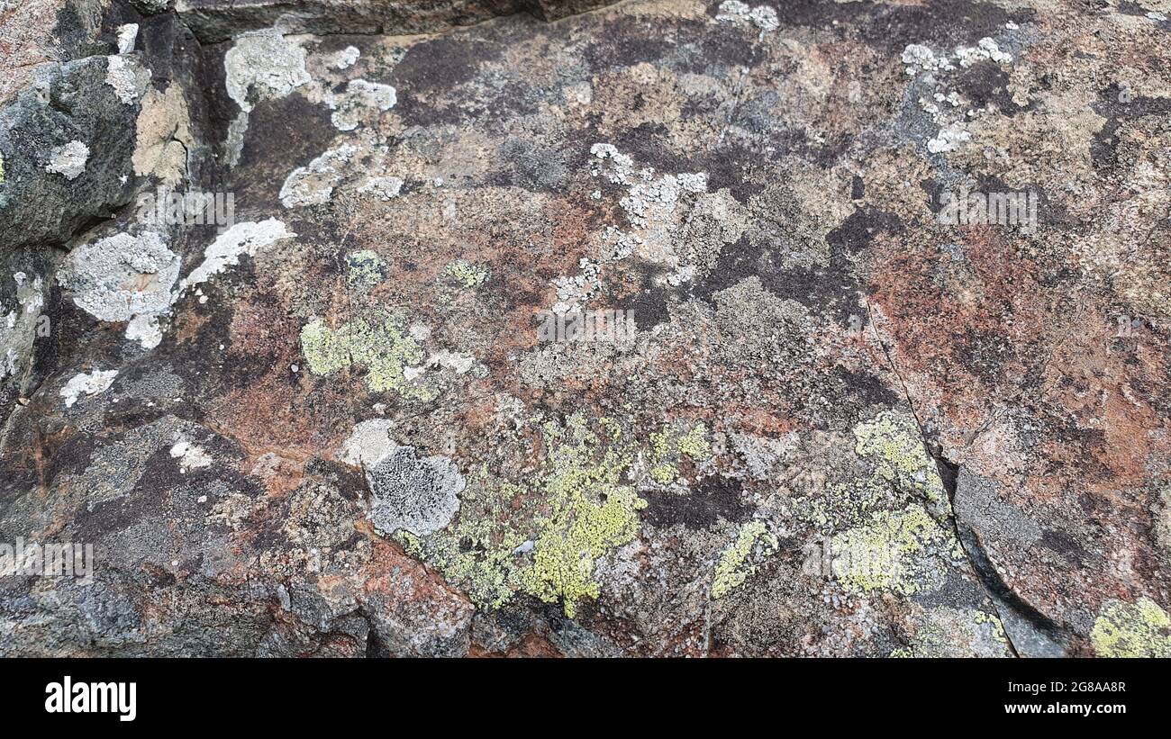 Textura de piedra en primer plano Foto de stock