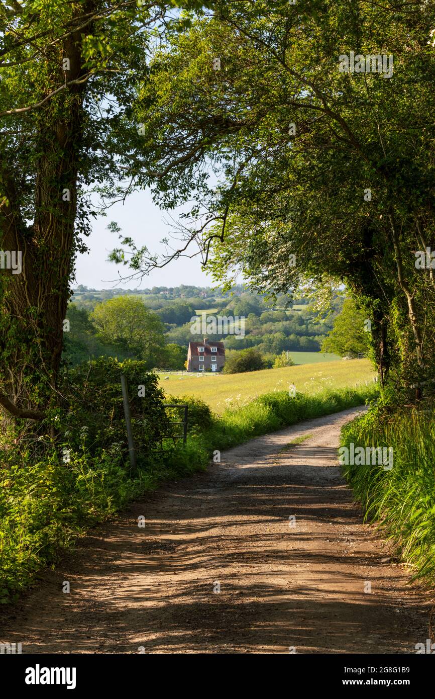 Vea a lo largo del sendero público Ham Lane y el paisaje de High Weald, Burwash, High Weald AONB (área de belleza natural excepcional), East Sussex, Inglaterra Foto de stock
