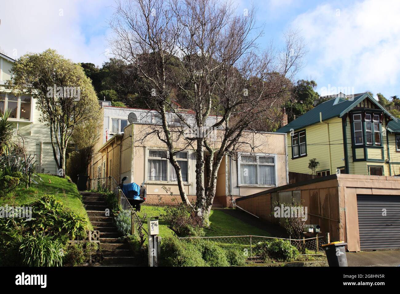 Wellington, Nueva Zelandia, 21 de julio de 2021. Casas típicas de madera en  Wellington, un soleado día de invierno. El gobierno de Nueva Zelanda ha  introducido nuevos requisitos obligatorios de 'viviendas saludables'