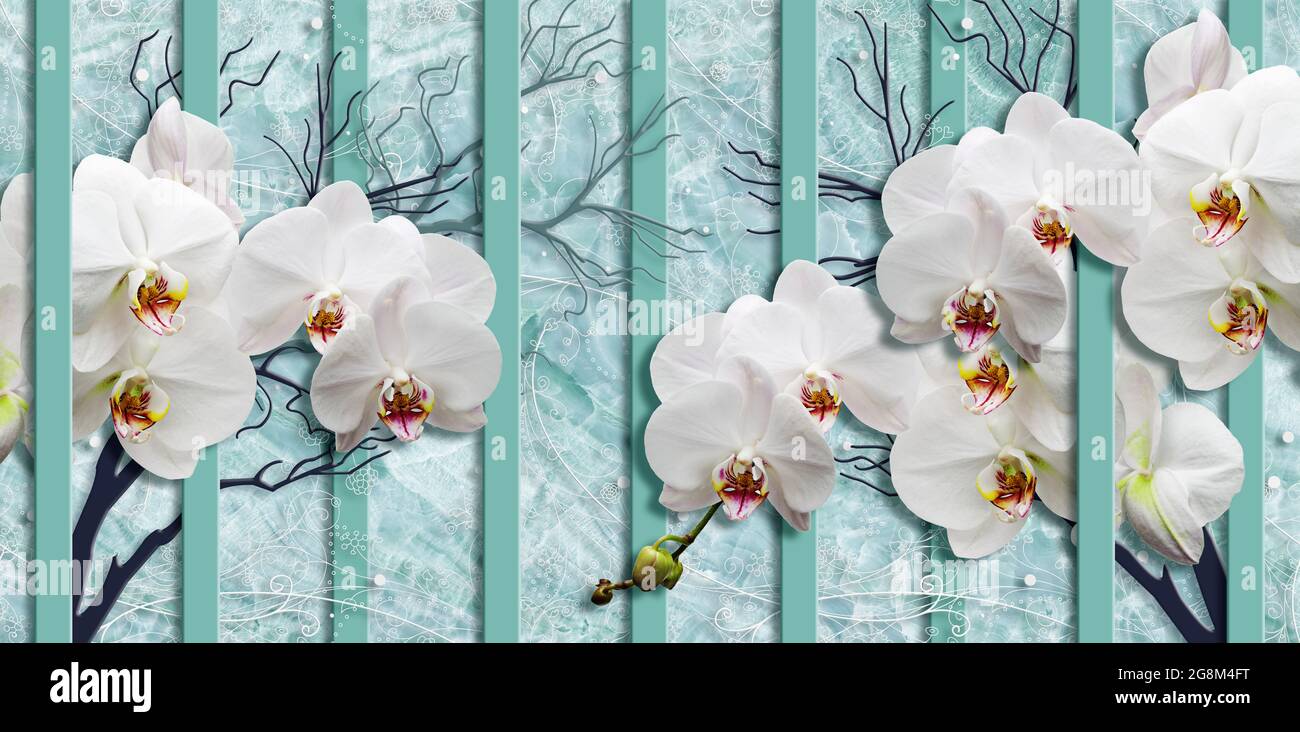 Fondos de pantalla de flores blancas fotografías e imágenes de alta resolución - Alamy Fondos de pantalla de flores blancas fotografías e imágenes de alta resolución - Alamy