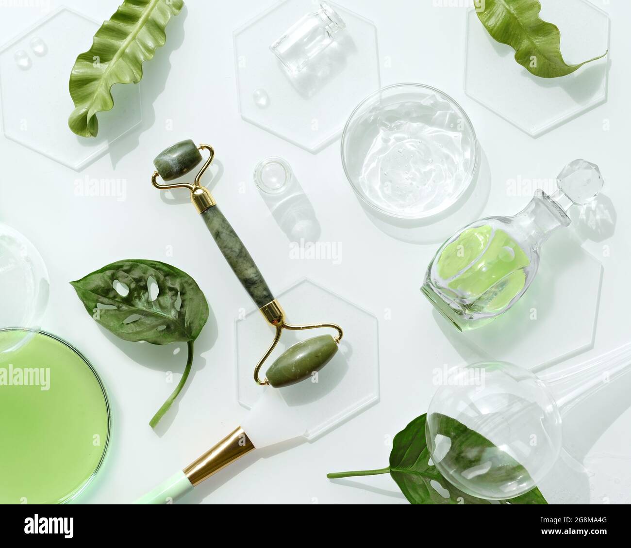 Crema hidratante, rodillo de jade verde sobre hielo con cubitos de hielo y hojas exóticas. Hojas de Monstera adansonii. Diseño plano mínimo sobre fondo blanco Foto de stock