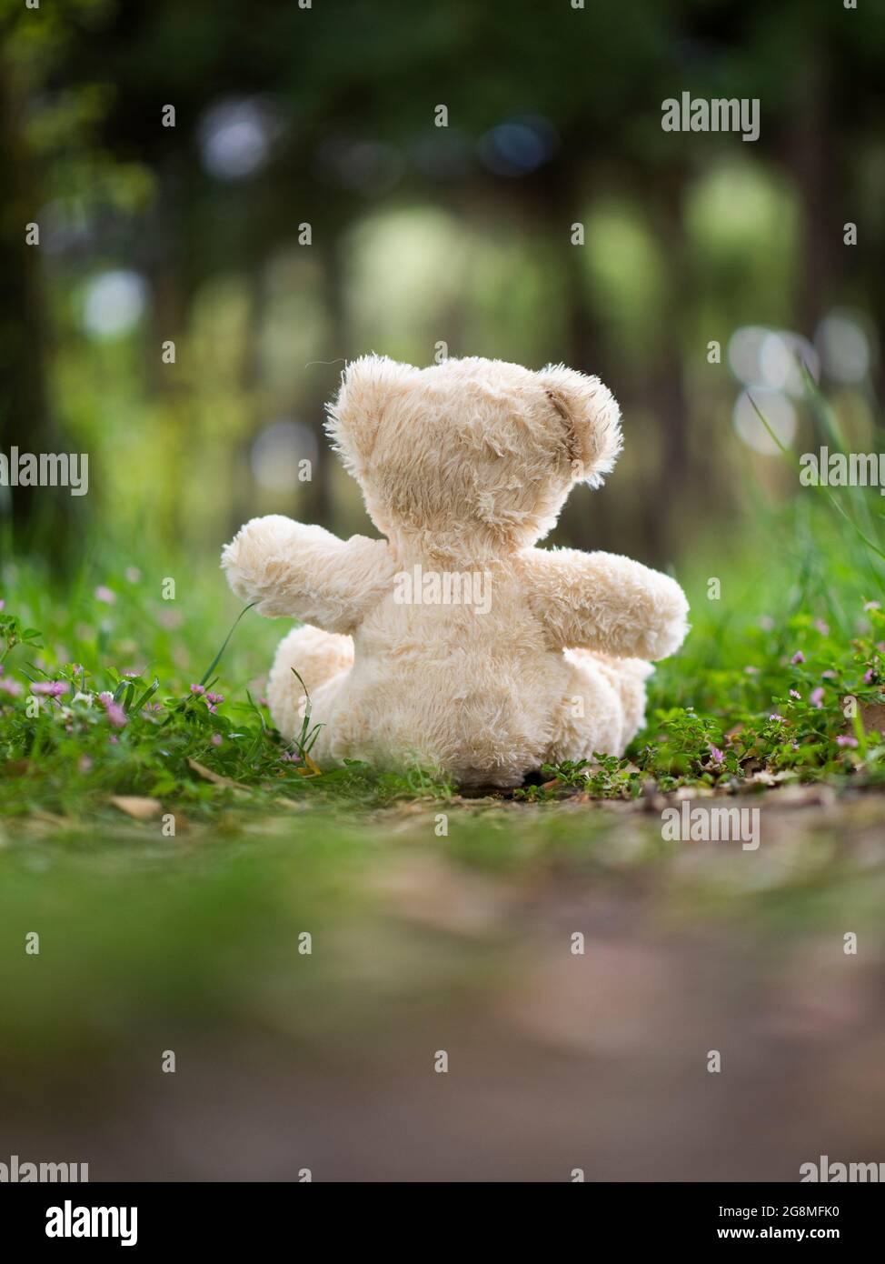 Concepto de portada de libro - Infancia - Vista posterior del osito de  peluche al aire libre Fotografía de stock - Alamy