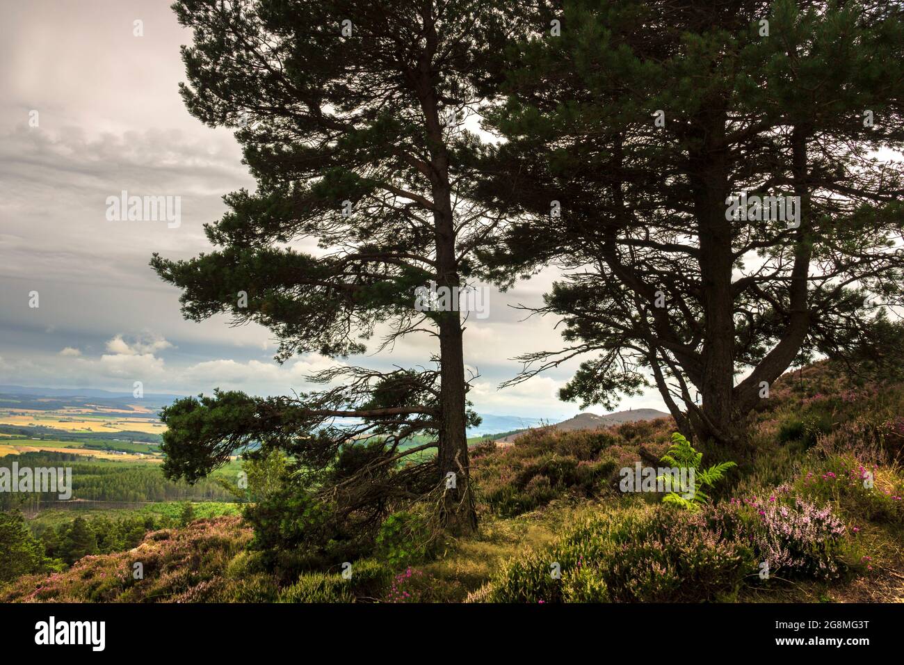 Ruta de senderismo en Aberdeenshire, Escocia, Reino Unido. Paisaje de Escocia. Foto de stock