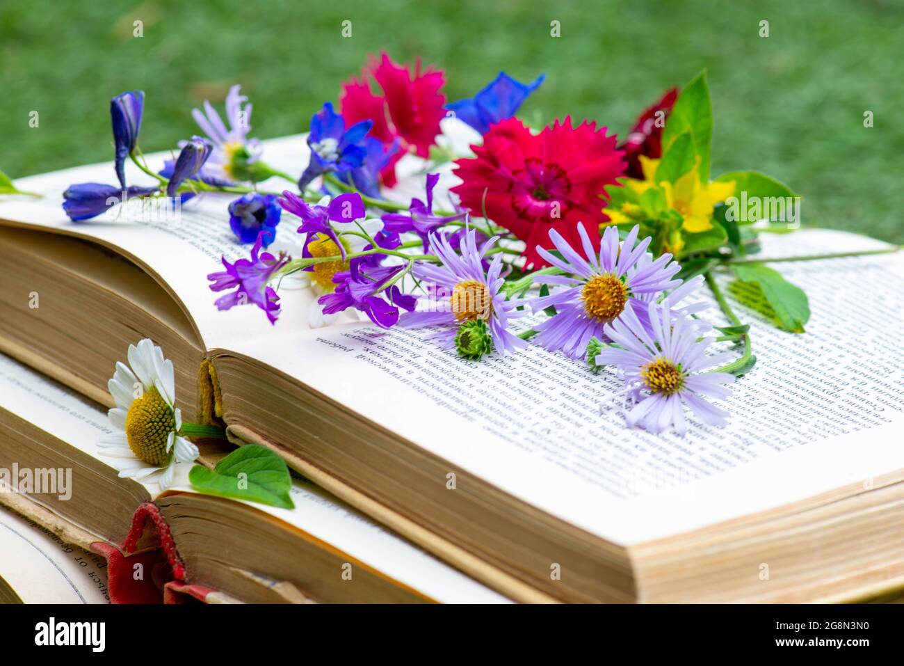 libros muy interesantes mentira y las flores son diferentes Foto de stock