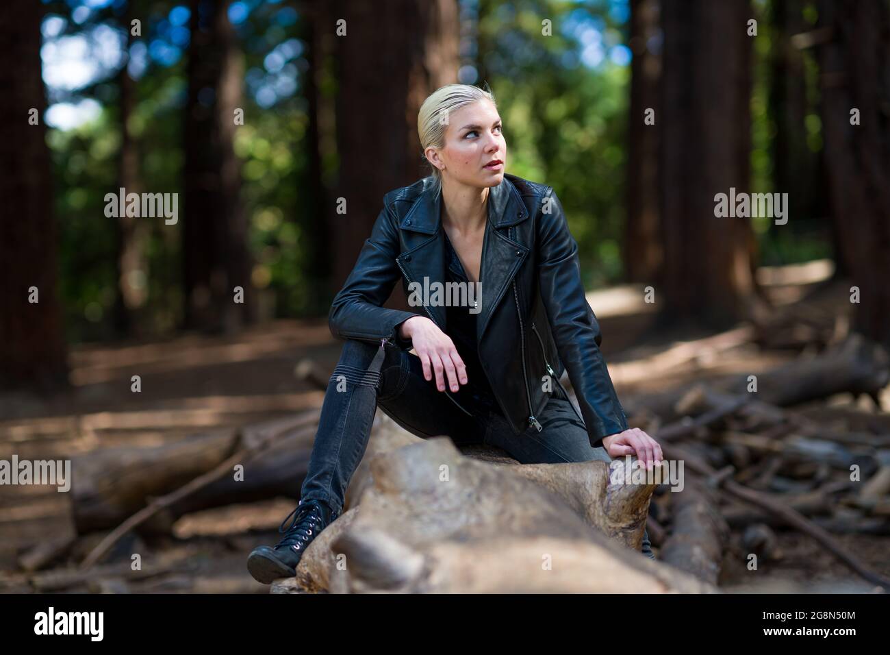 Mujer joven en un gran tronco caído de secoya en el bosque de secoya Foto de stock