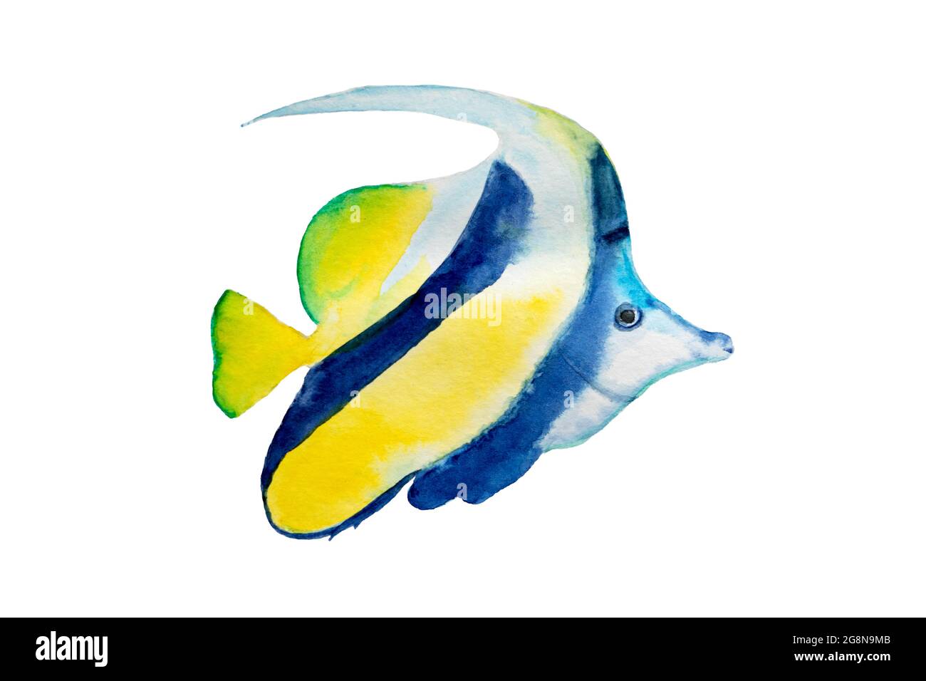 Hermoso dibujo acuarela de pez mantequilla de pene con tonos azules y amarillos sobre fondo blanco. Peces de acuario tropical. Ilustración de libro o pos Foto de stock