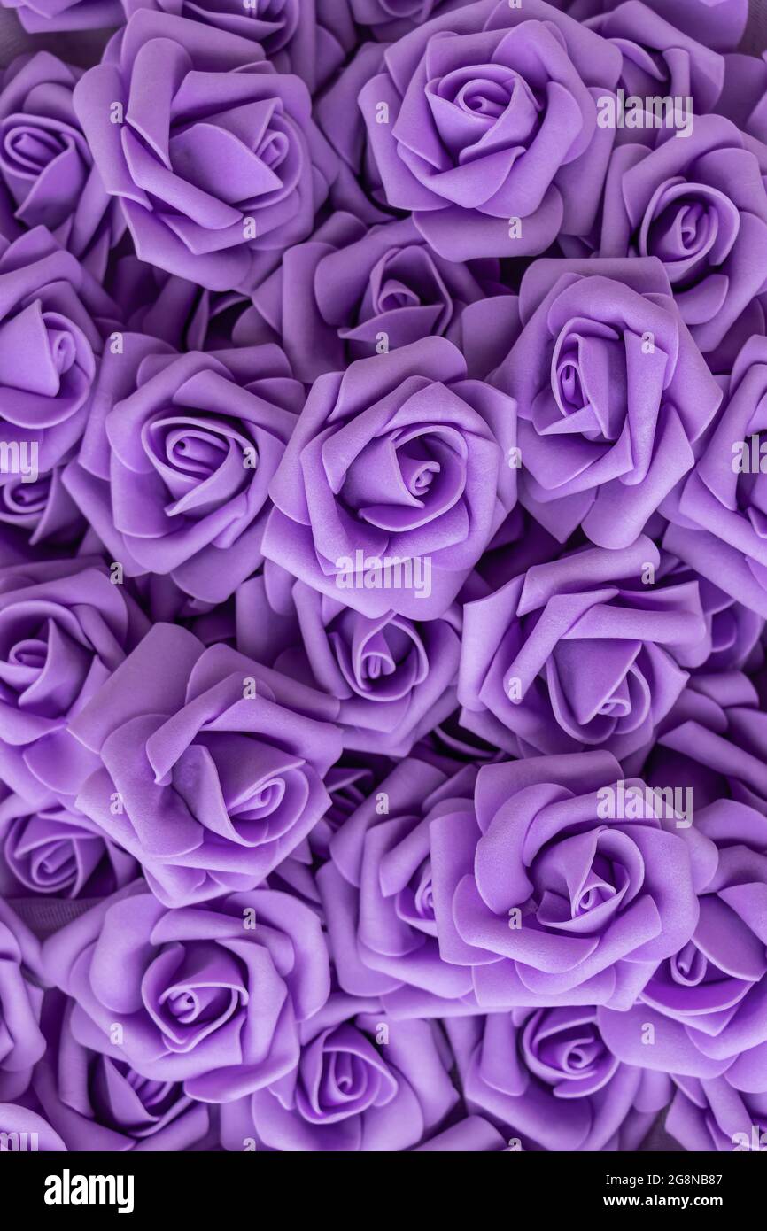fondo de flores de color púrpura o lila. flores falsas. Rosas lilas o lilas  artificiales, rosas de foamiran. Foco suave Fotografía de stock - Alamy