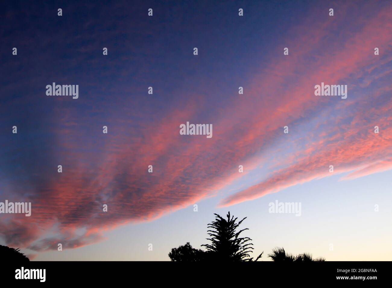 Espectacular puesta de sol de color rosa en el bosque de España Foto de stock