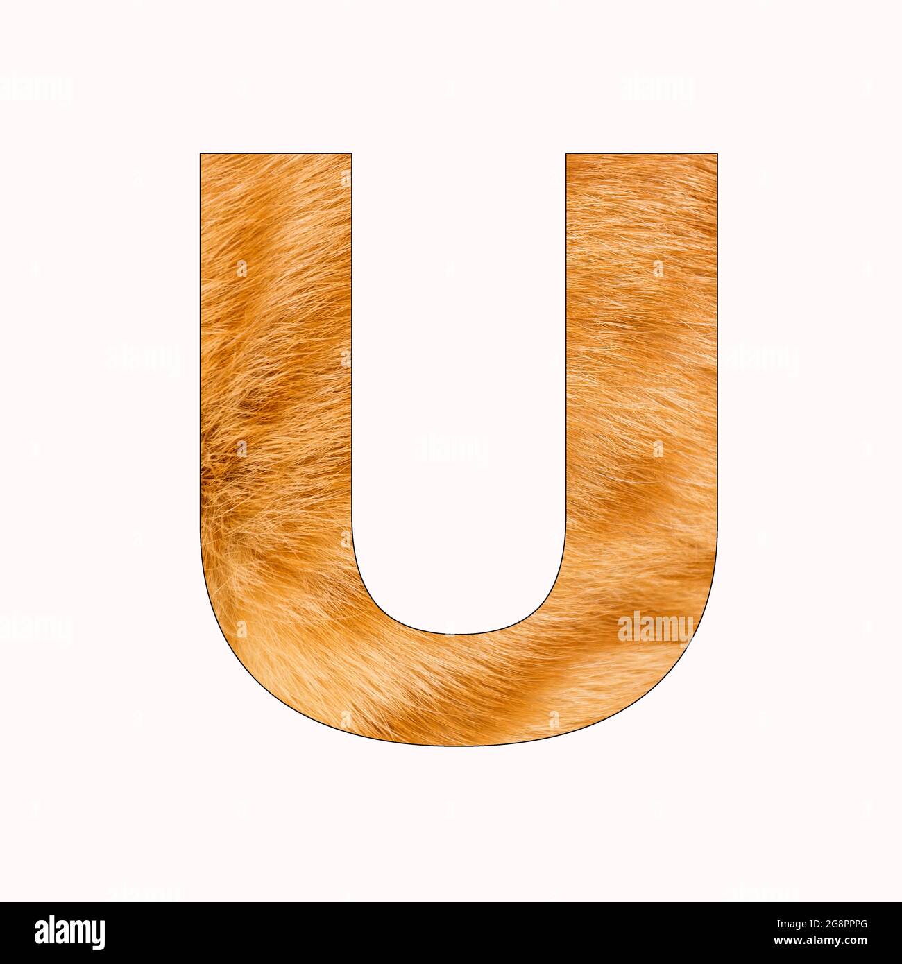 Letra U alfabeto en mayúsculas - fondo amarillo de piel de gato Fotografía  de stock - Alamy