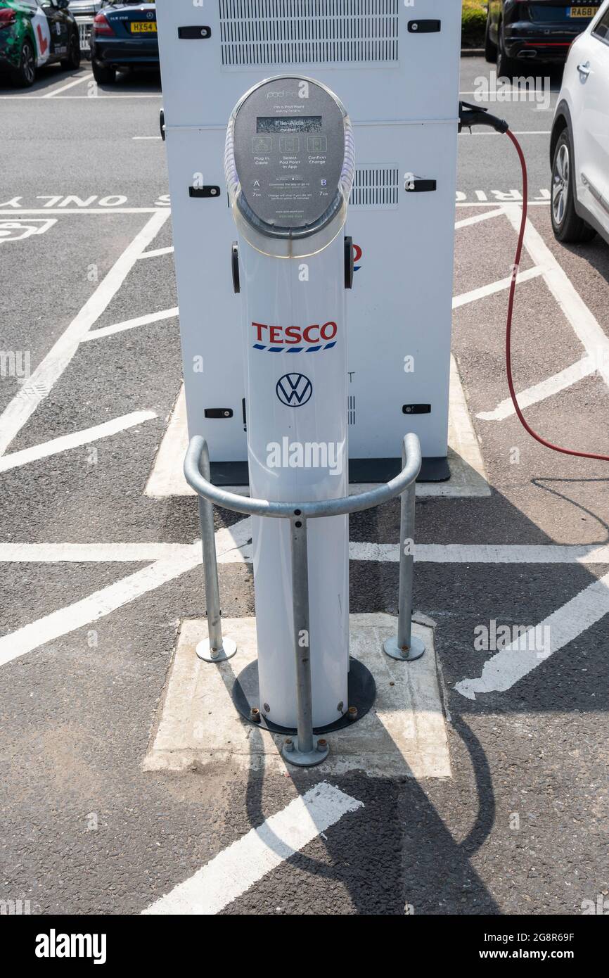 Rama de tescos fotografías e imágenes de alta resolución Alamy