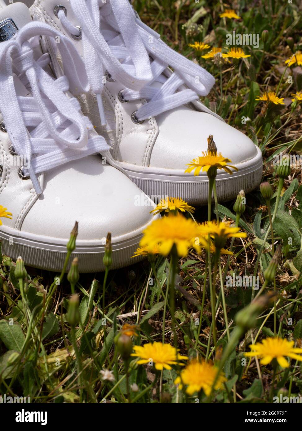 Zapatillas de deporte blancas para mujer en un prado con flores Fotografía  de stock - Alamy