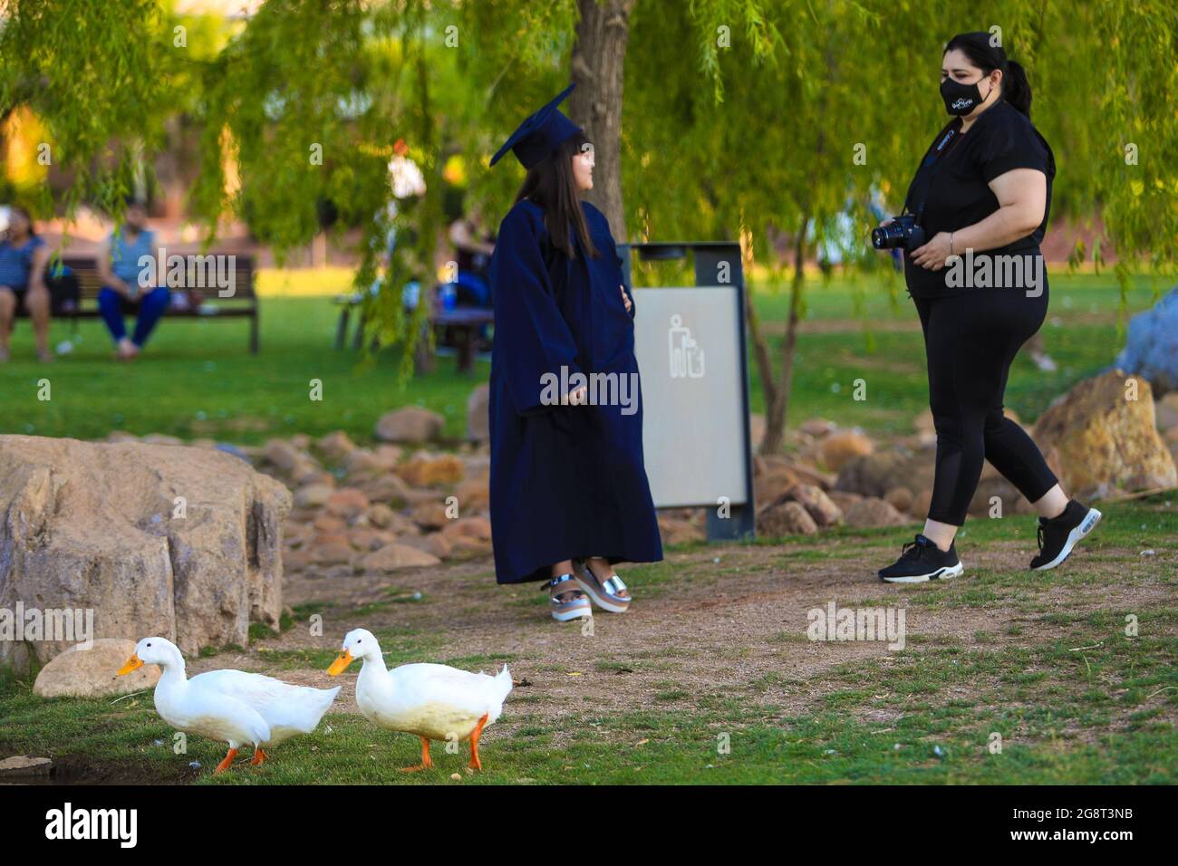 Los patos silvestres coexisten con la gente en el humedal, Pato. (Foto: Luis Gutiérrez / NortePhoto.com) patos de vida silvestre conviven con personas en humed Foto de stock