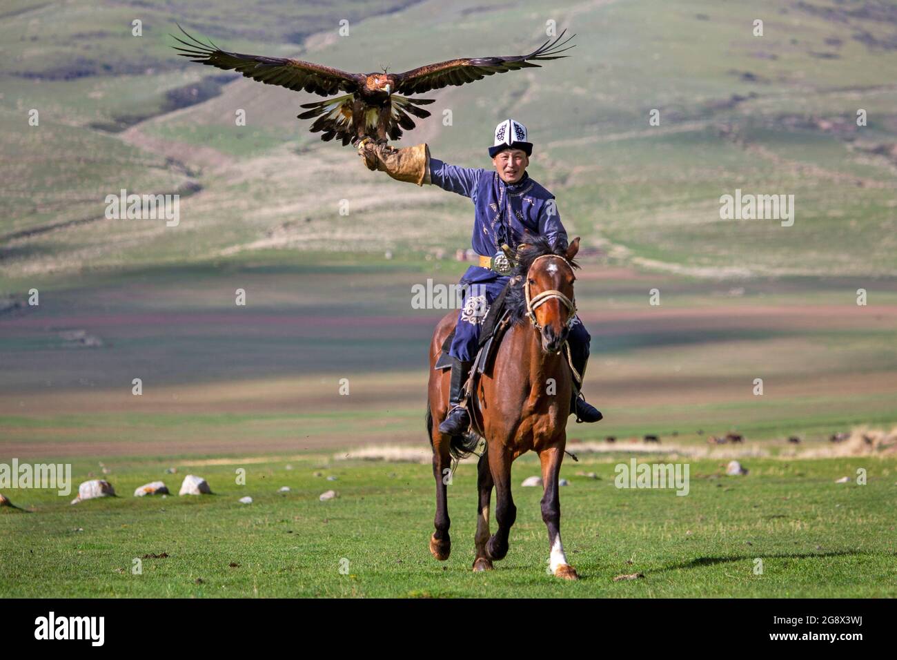 Cazador de águilas y su águila dorada en Issyk Kul, Kirguistán Foto de stock