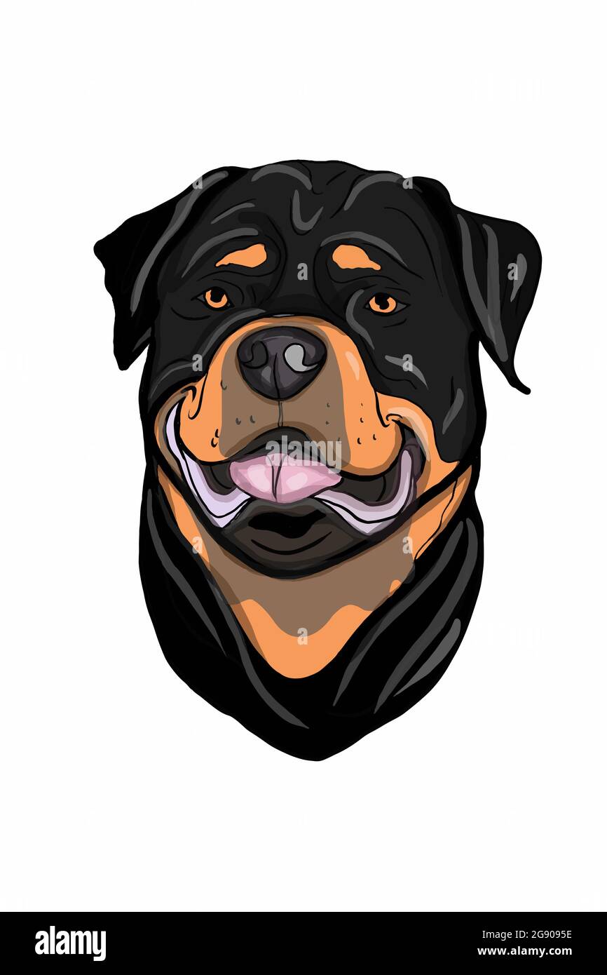 Dibujo de la cabeza de perro de roadfighter, retrato, lindo dibujo. Foto de stock