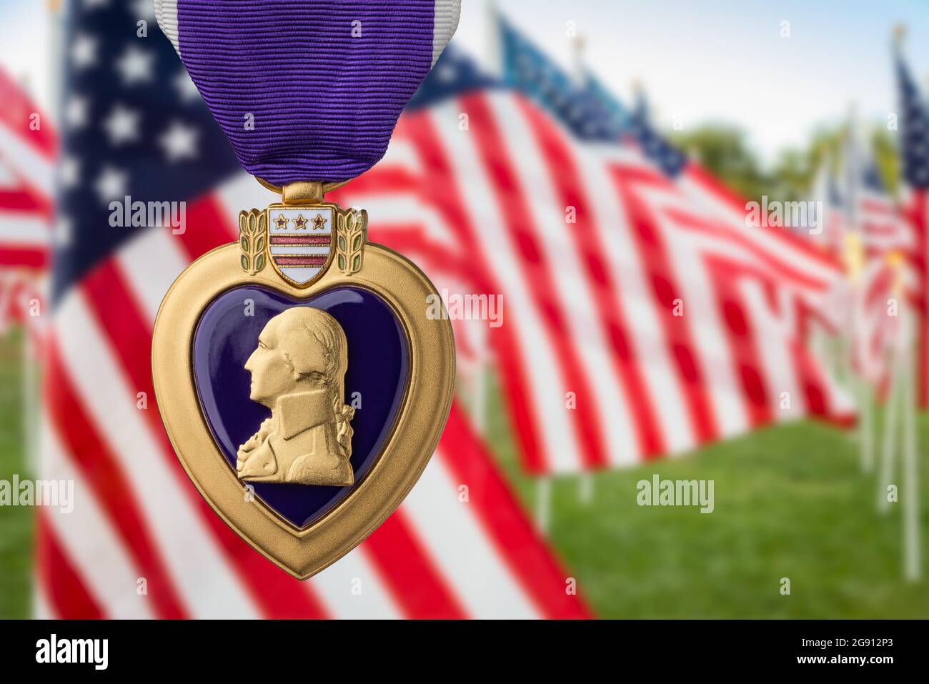 Medalla al Mérito del Miltary del Corazón Púrpura contra el Campo Memorial de las Banderas Americanas Foto de stock