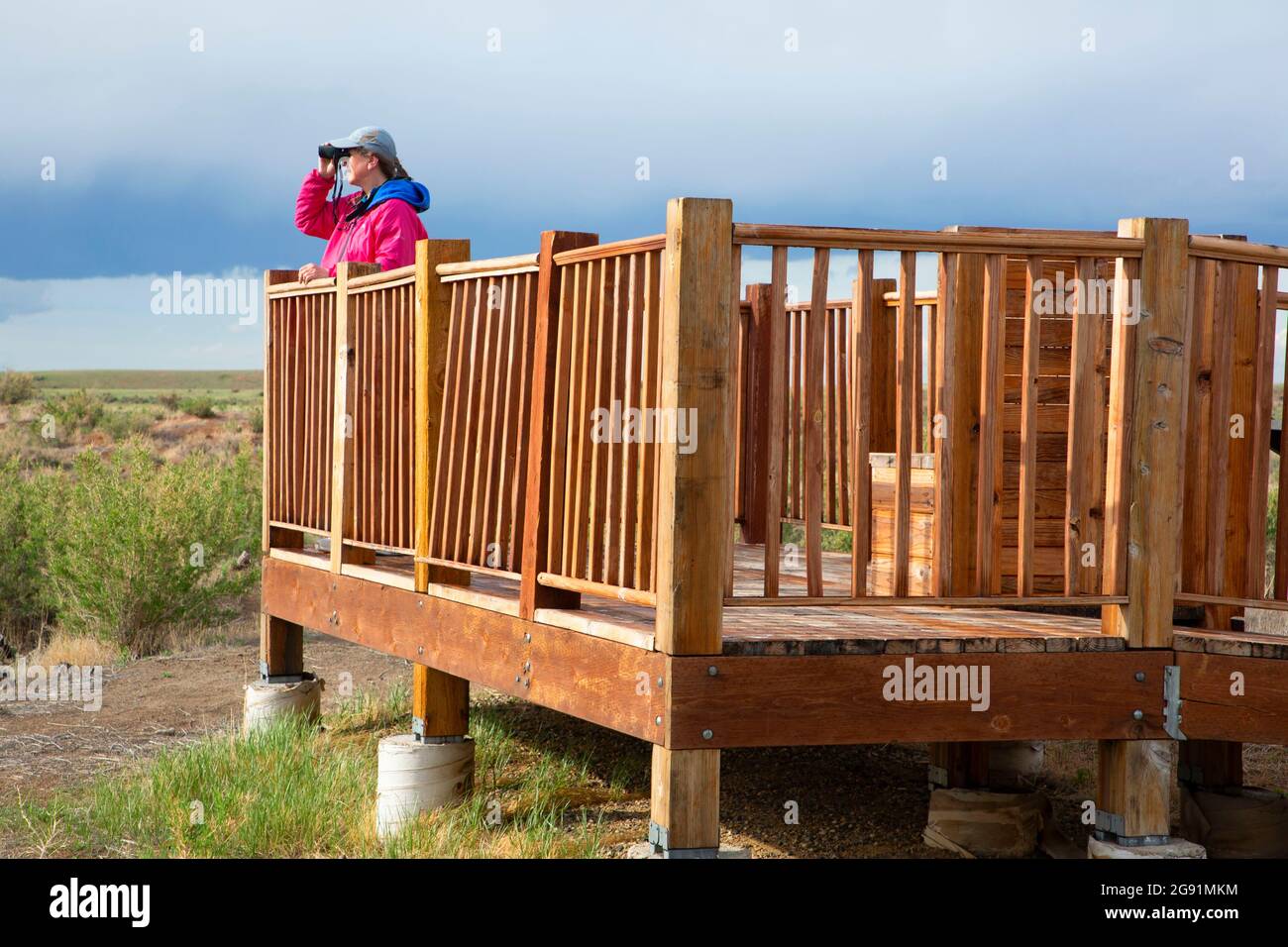 Plataforma de observación de vida silvestre, Refugio Nacional de Vida Silvestre de Hutton Lake, Wyoming Foto de stock