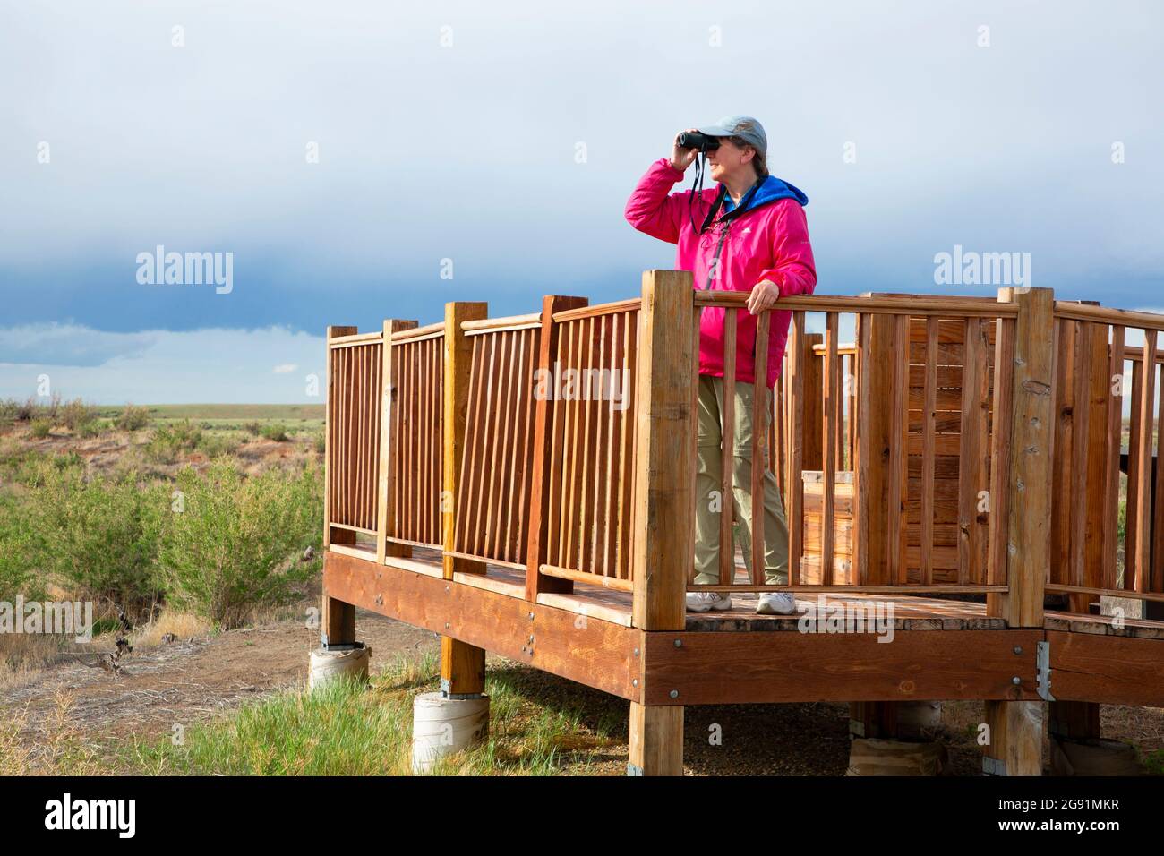 Plataforma de observación de vida silvestre, Refugio Nacional de Vida Silvestre de Hutton Lake, Wyoming Foto de stock