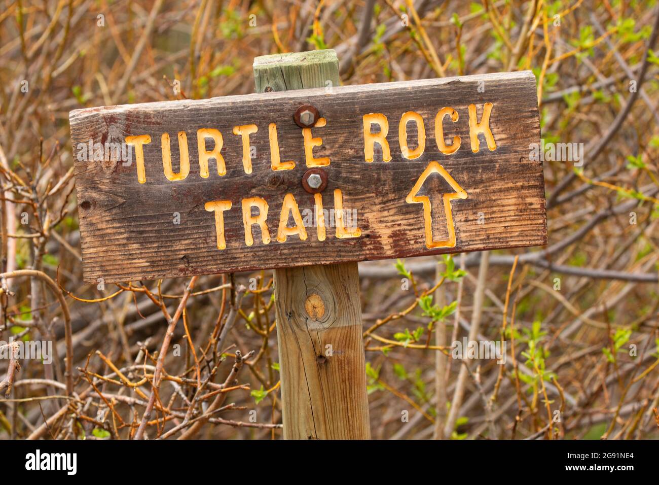 Señal del sendero de Turtle Rock, Bosque Nacional de Medicine Bow-Routt, Wyoming Foto de stock