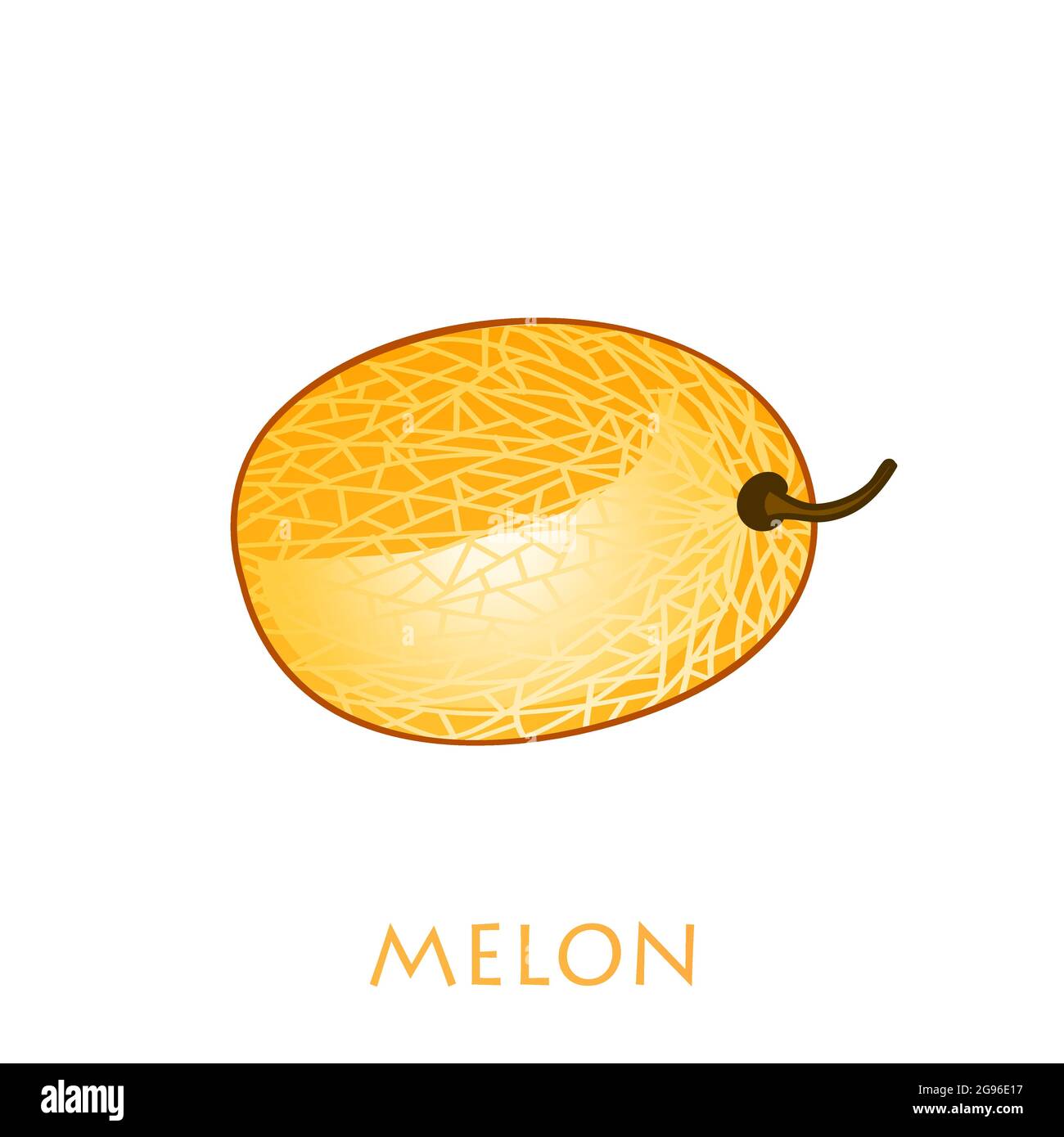 Fruta fresca de melón entero aislada sobre fondo blanco. Melón de