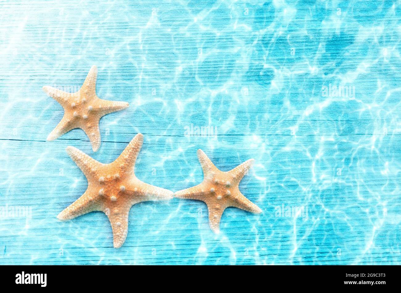 Bajo una estrella de mar Imágenes recortadas de stock - Alamy