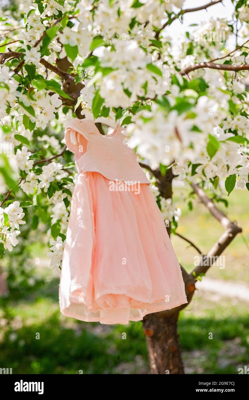 Ropa pequeña y linda de color rosa. Horario de verano. Jardín florido de  manzanos. El vestido está colgando en el árbol. Modelo y ropa bonita para  niños. Sho vertical Fotografía de stock -
