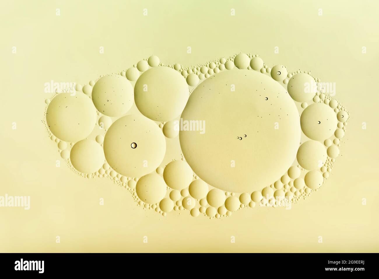 Diseño abstracto decorativo de un grupo de burbujas de color crema en tamaños variados en un arreglo aleatorio centrado en el panel con copyspace Foto de stock