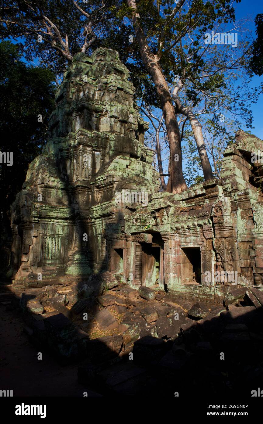 Sudeste de Asia, Camboya, provincia de Siem Reap, sitio de Angkor, patrimonio mundial de la Unesco desde 1992, Ta Prohm templo construido en 1186 por el rey Jayavarman VI Foto de stock