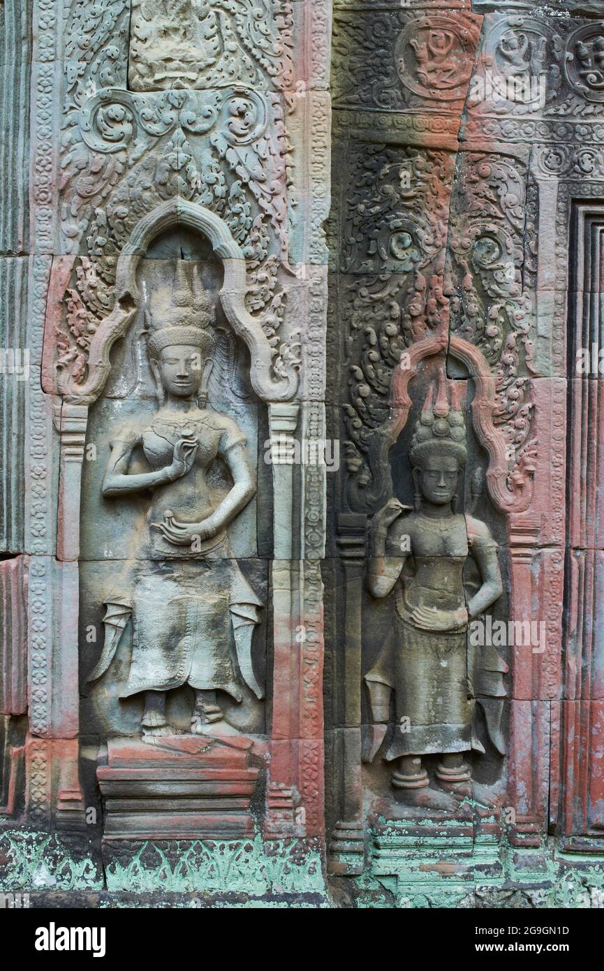 Sudeste de Asia, Camboya, provincia de Siem Reap, sitio de Angkor, patrimonio mundial de la Unesco desde 1992, Ta Prohm templo construido en 1186 por el rey Jayavarman VI Foto de stock