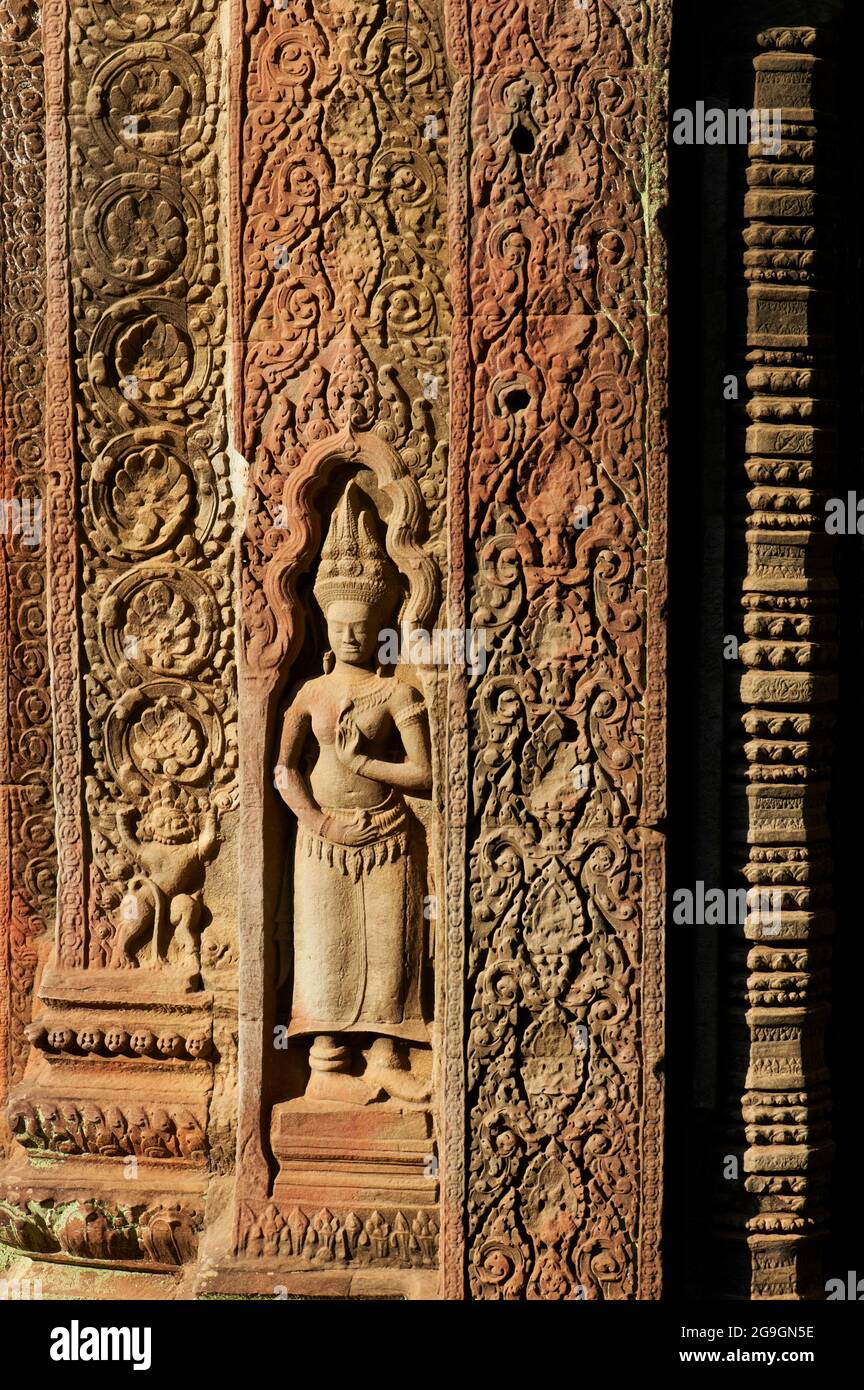 Sudeste de Asia, Camboya, provincia de Siem Reap, sitio de Angkor, patrimonio mundial de la Unesco desde 1992, Ta Prohm templo construido en 1186 por el rey Jayavarman VI Foto de stock