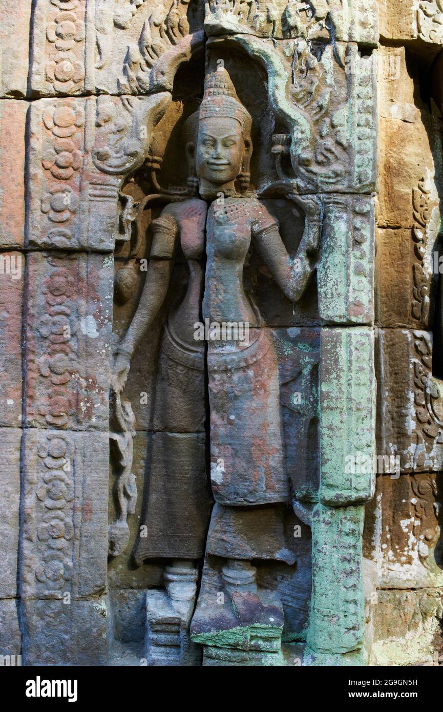 Sudeste de Asia, Camboya, provincia de Siem Reap, sitio de Angkor, patrimonio mundial de la Unesco desde 1992, Ta Prohm templo construido en 1186 por el rey Jayavarman VI Foto de stock