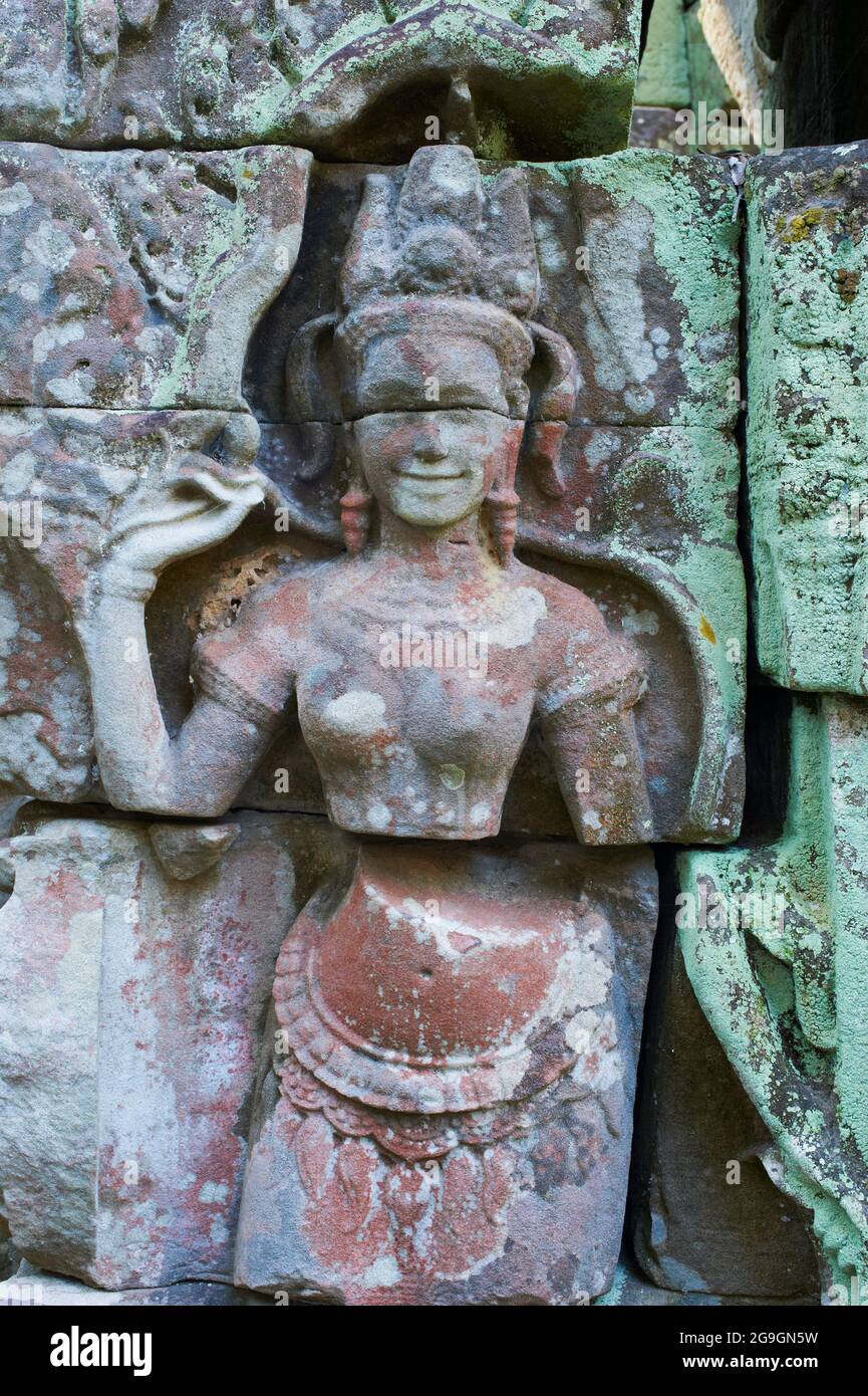 Sudeste de Asia, Camboya, provincia de Siem Reap, sitio de Angkor, patrimonio mundial de la Unesco desde 1992, Ta Prohm templo construido en 1186 por el rey Jayavarman VI Foto de stock