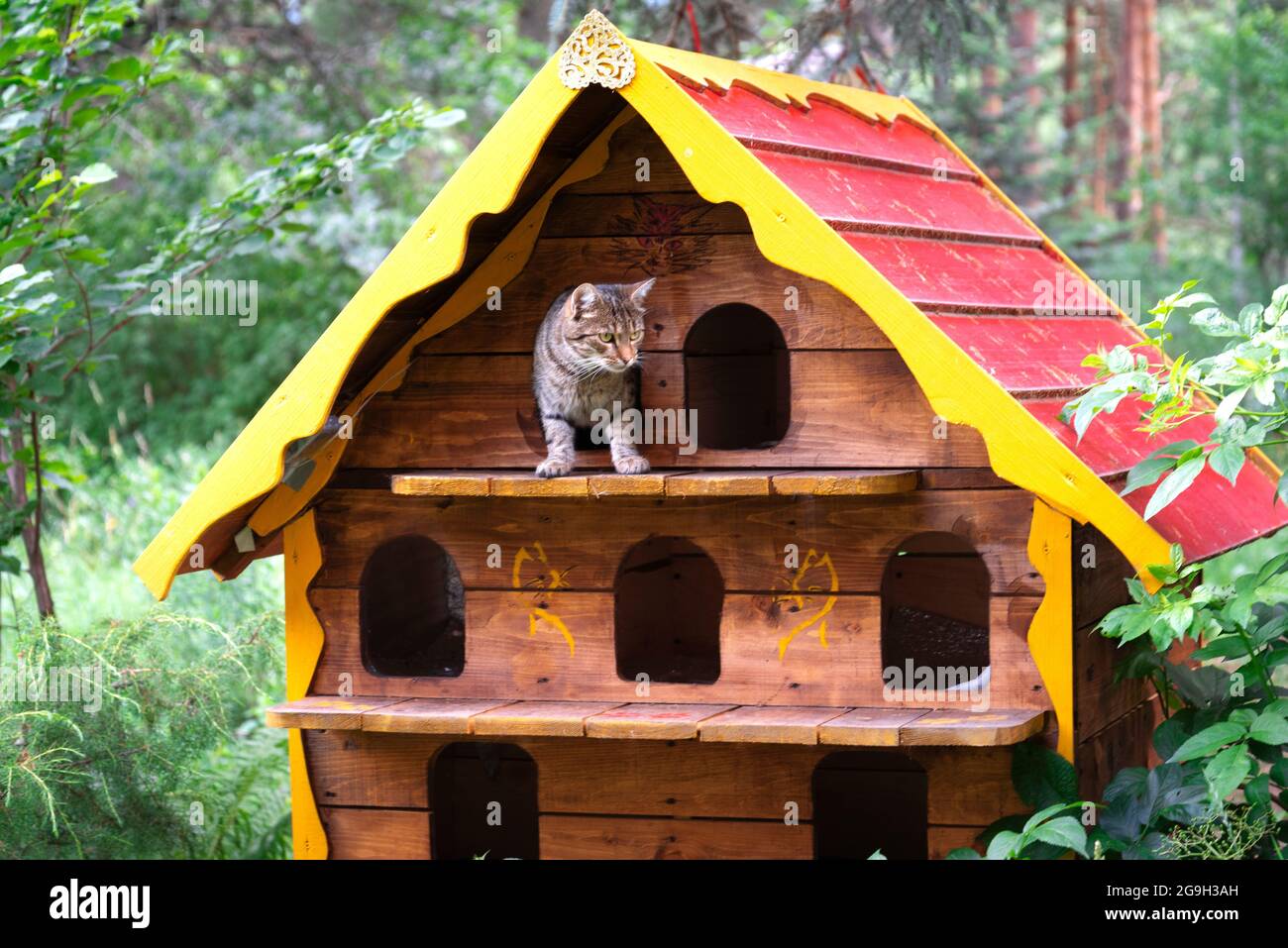 una casa de madera para gatos sin hogar se encuentra en el parque entre los  árboles Fotografía de stock - Alamy