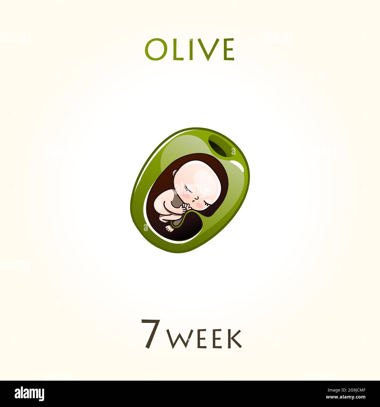 Embrión a las 7 semanas fotografías e imágenes de alta resolución - Alamy