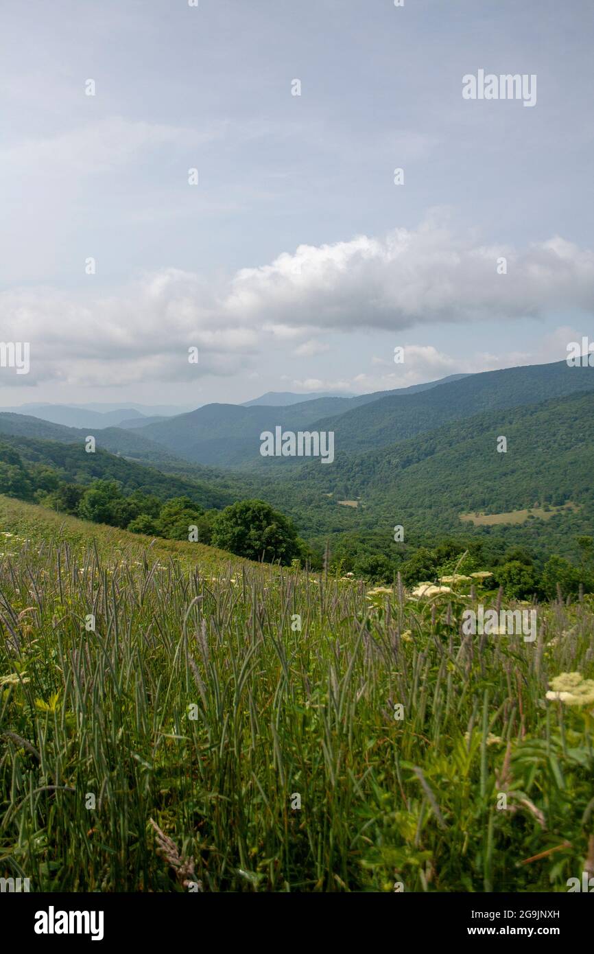 Vista de las Montañas Blue Ridge desde una sección de la ruta Appalachain Trail en Carolina del Norte Foto de stock