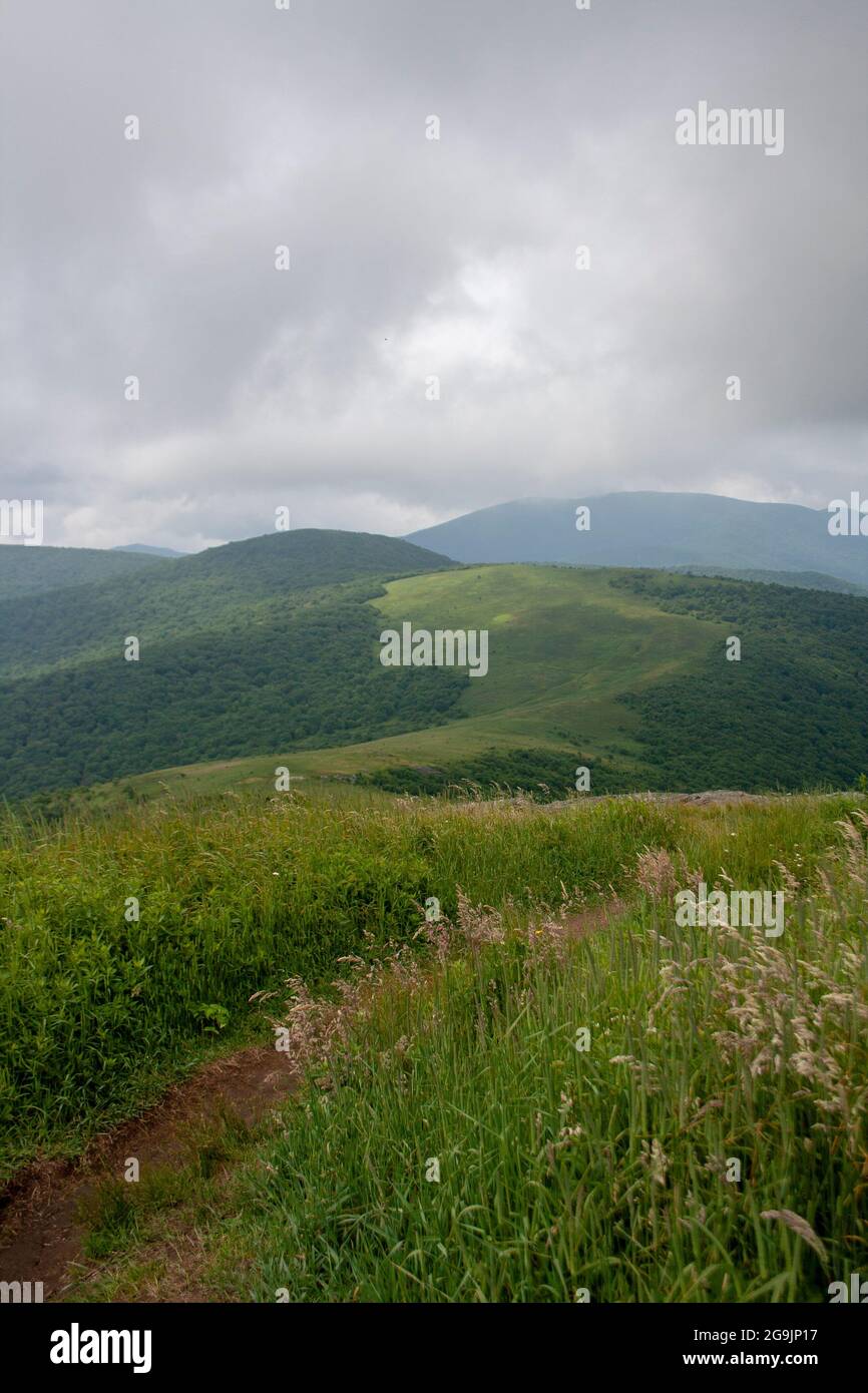Una vista de las Montañas Blue Ridge en Carolina del Norte desde la ruta Appalachian Trail Foto de stock