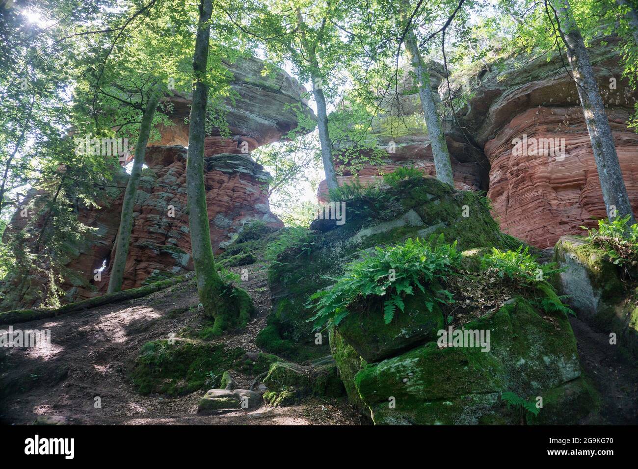 Old Castle Rock (Altschlossfelsen), torres de piedra de arena roja en el bosque Palatino, Eppenbrunn, Renania-Palatinado, Alemania Foto de stock
