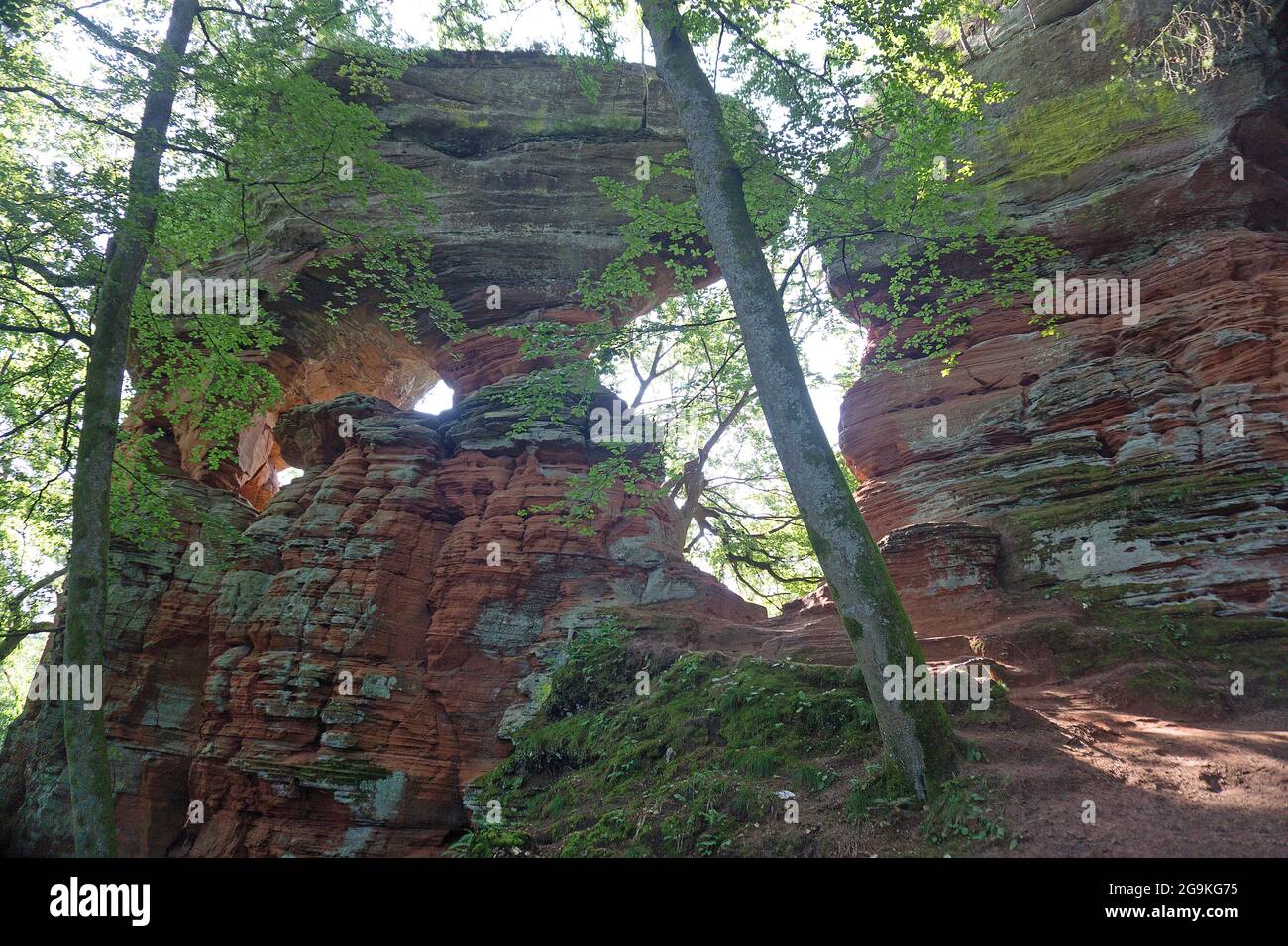 Old Castle Rock (Altschlossfelsen), torres de piedra de arena roja en el bosque Palatino, Eppenbrunn, Renania-Palatinado, Alemania Foto de stock