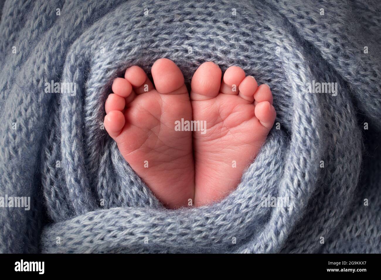 Los pies del bebé en una manta de lana azul claro y suave. Dedos de los pies pequeños. Foto de stock