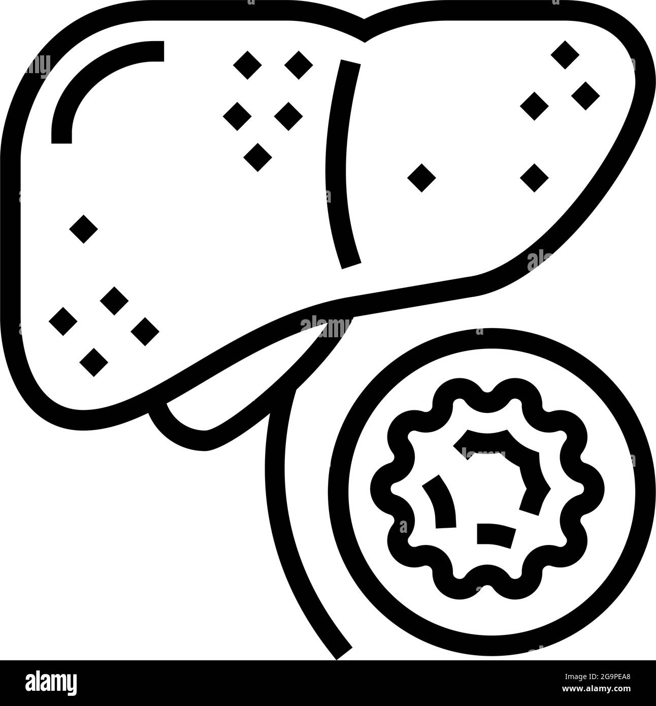 Ilustración del vector del icono de la línea de la hepatitis B Imagen