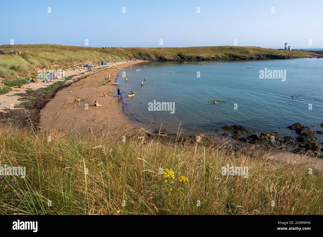 Los visitantes disfrutan de un buen tiempo en la playa Ruby Bay, Elie, East Neuk, Fife, Escocia. Foto de stock