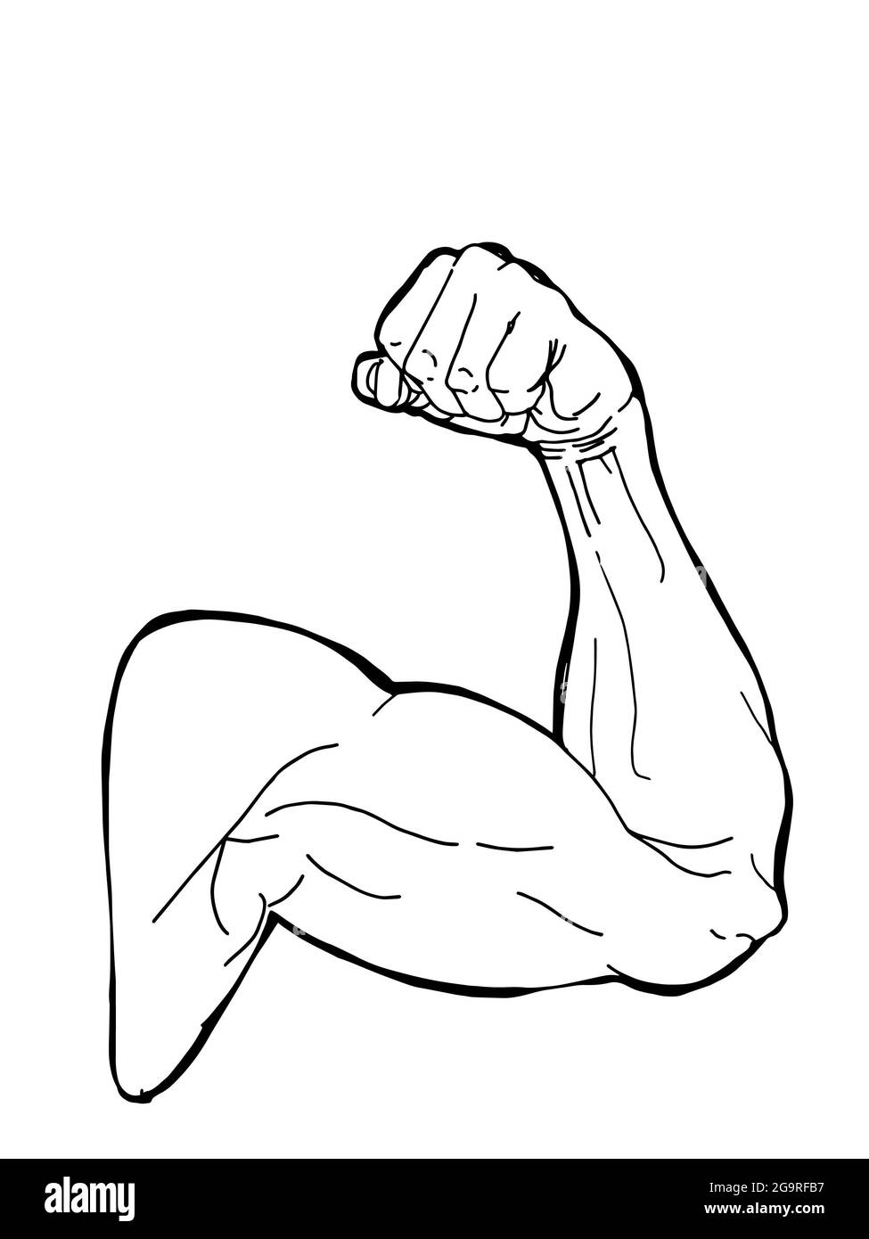 Hombre deportivo, brazo fuerte muscular, ilustración, arte lineal Foto de stock