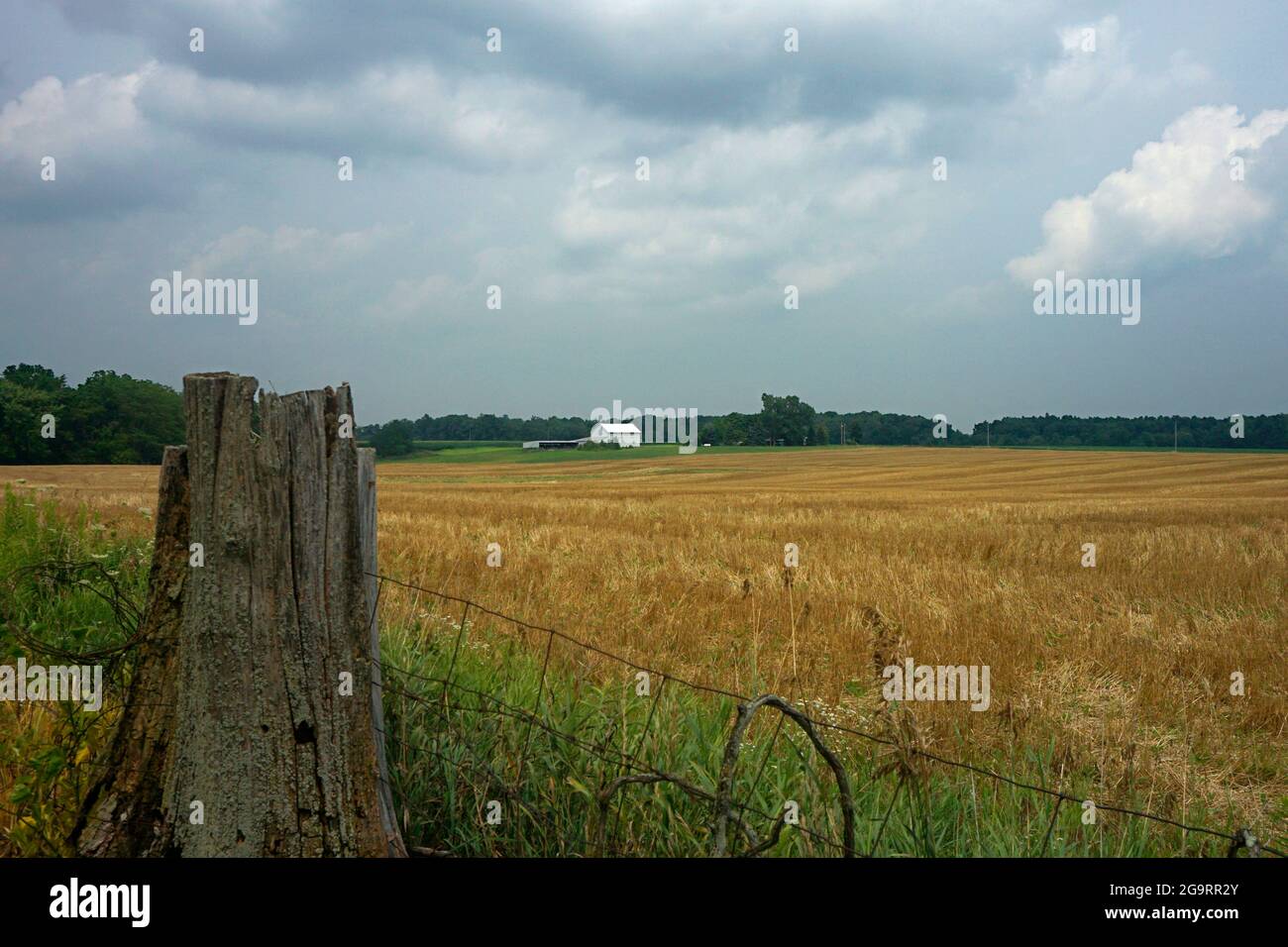 Escena agrícola de un campo con edificios blancos de la granja en el fondo y una valla de alambre y un tocón de árbol en el primer plano Foto de stock