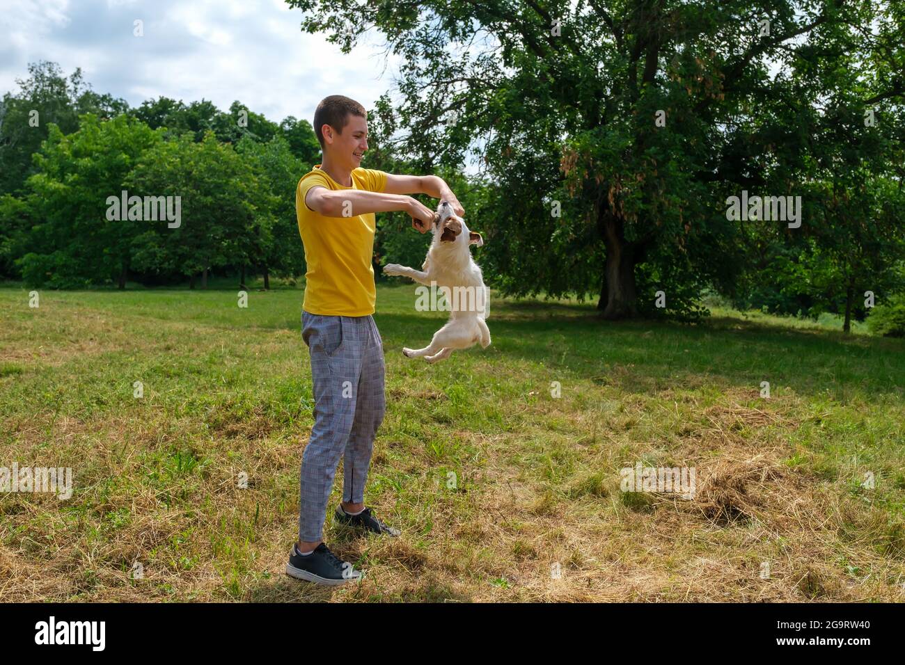 El joven caucásico camina y entrena a su perro del terrier de Jack Russell en el parque Foto de stock