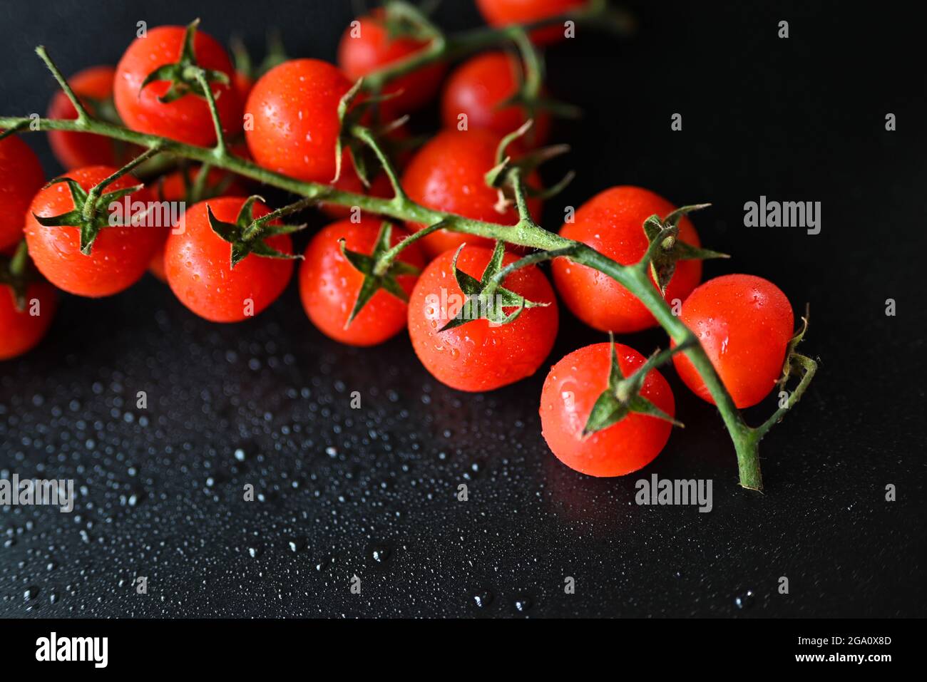 deliciosas verduras tomates cherry rojos en una rama sobre fondo negro Foto de stock