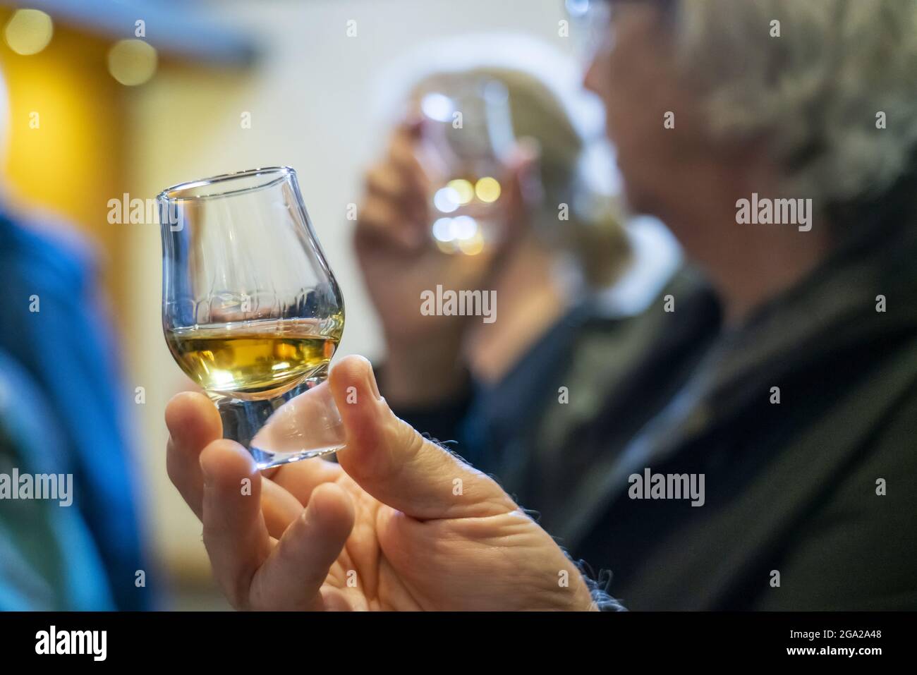 En la destilería Oban, los visitantes saborearon el whisky de un vaso de tiro en Oban, Escocia; Oban, Escocia Foto de stock