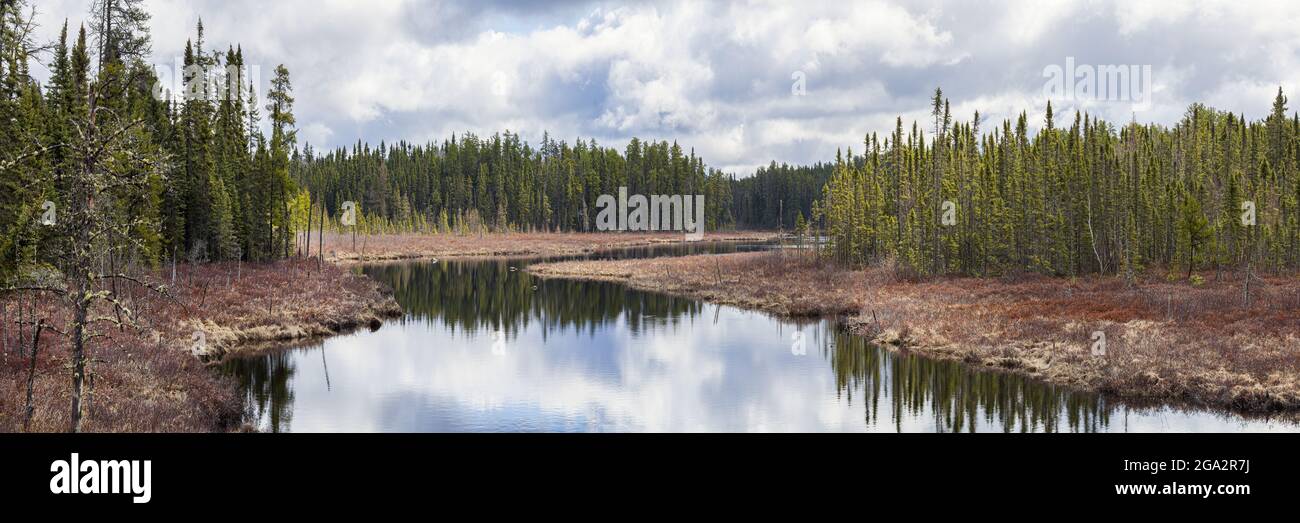 Estanque en una ubicación remota en la naturaleza cerca de Thunder Bay, Ontario; Ontario, Canadá Foto de stock