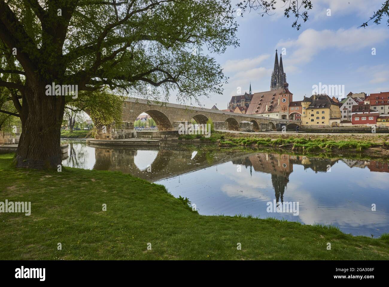 Perspectivas sobre el río Danubio con el antiguo puente de piedra del siglo 12th y la catedral gótica de San Pedro desde la orilla verde de Jahninsel en el... Foto de stock