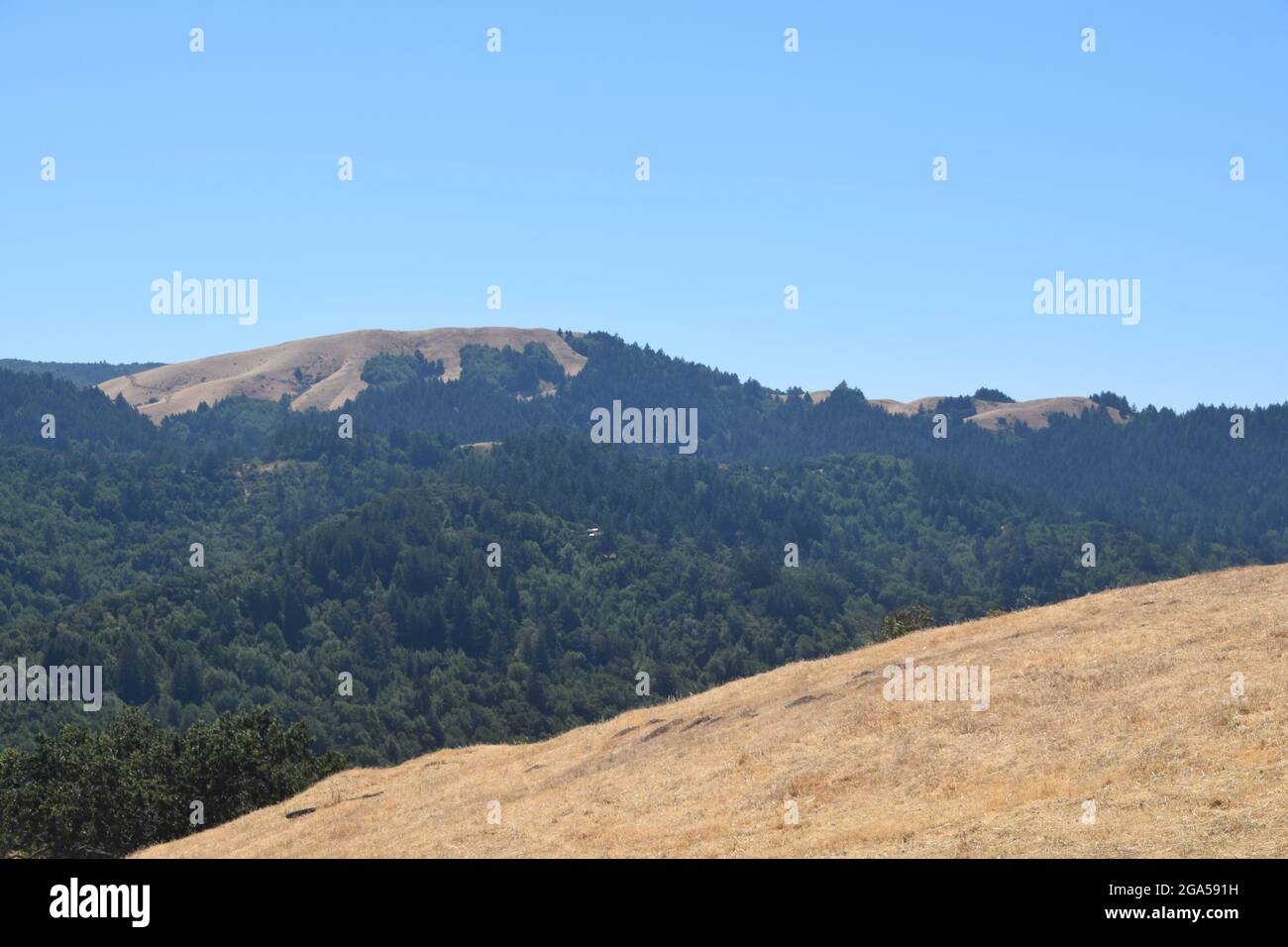 Una vista del paisaje en Marin County, California Foto de stock