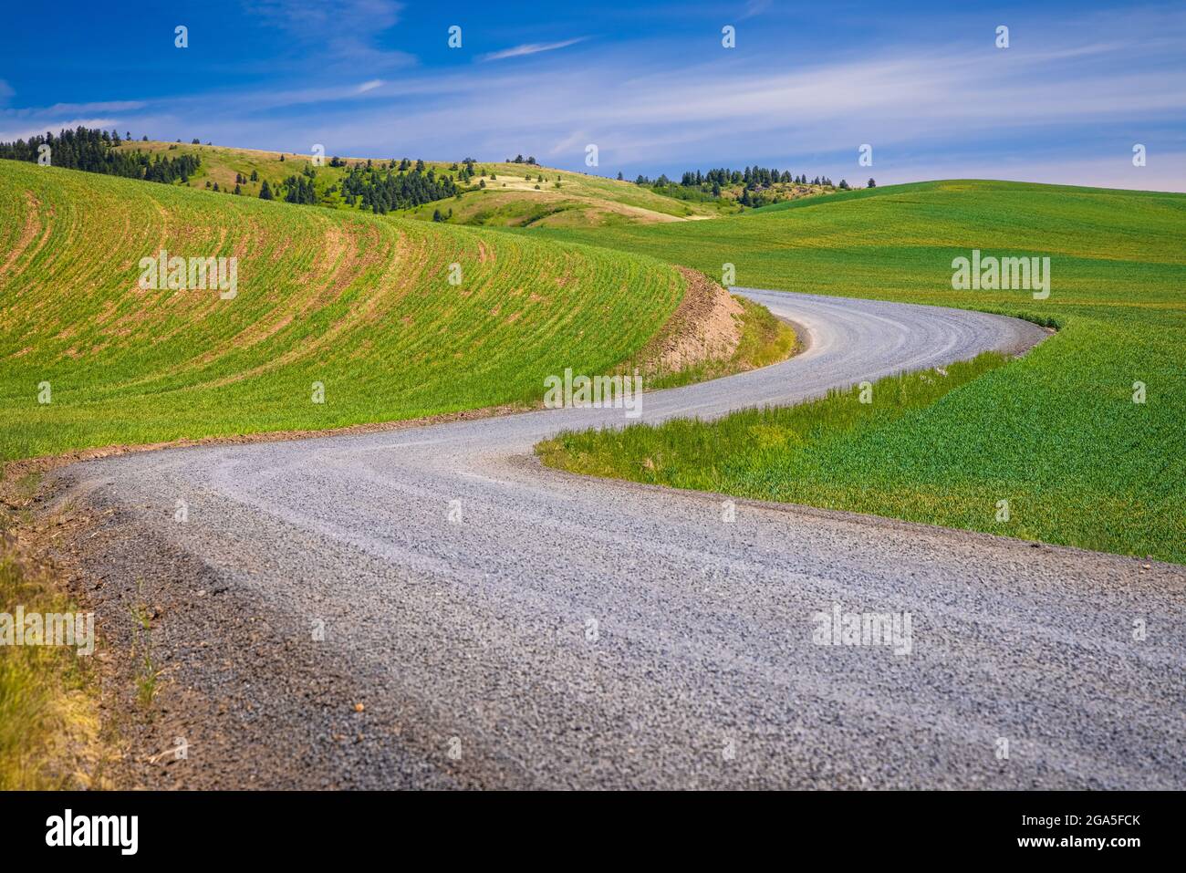 Palouse carretera de campo cerca de Moscú, Idaho Foto de stock